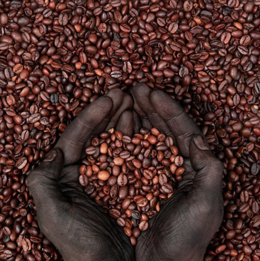 Lakay Haitian Coffee Powder– Bold Mornings Start Here/ poudre cafee