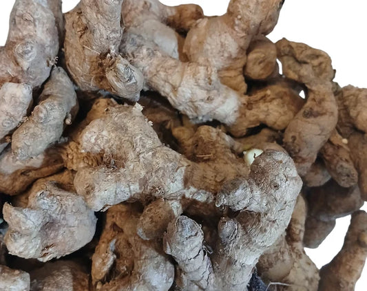 Bitter Ginger Blend ( jenjanm Haitian )